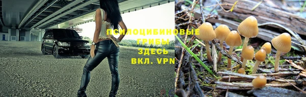 2c-b Надым